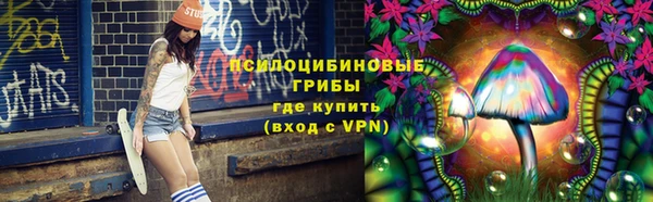 не бодяженный Михайлов