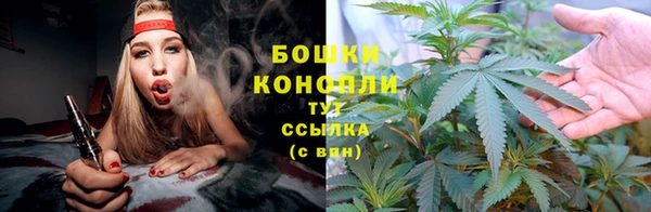 не бодяженный Михайлов